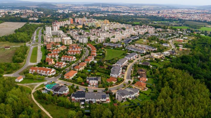 1_20231130_sylvan_a_vinice