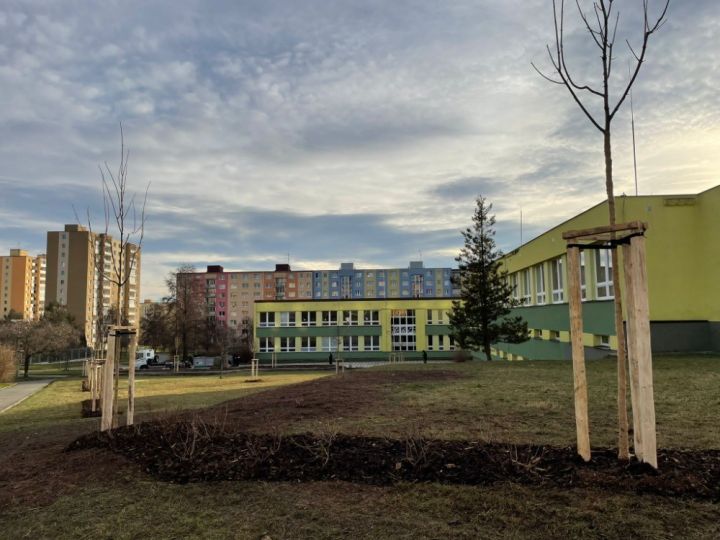 2_20240131_predskoli_34_zs_upravy_a_vysadba_3 2_20240131_predskoli_34_zs_upravy_a_vysadba_3