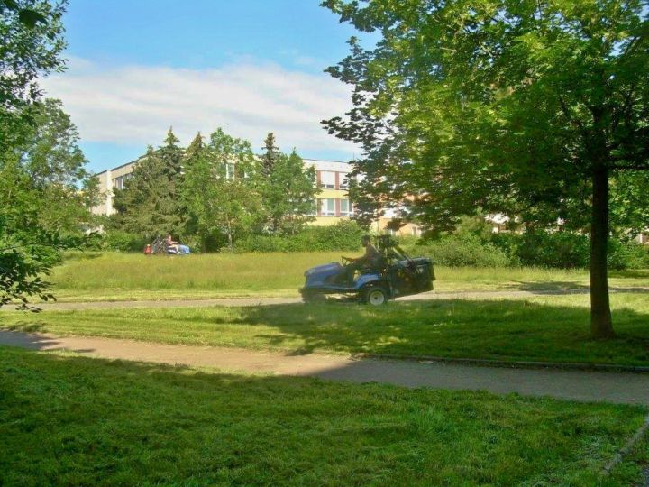 20200622_sec_travnatych_ploch_kosutka 20200622_sec_travnatych_ploch_kosutka