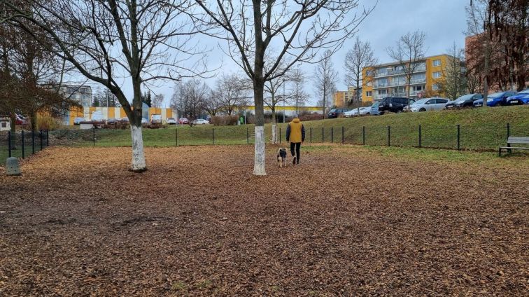 20240124_psi_loucka_park_u_bazenu (8)