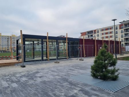 20240308_louka_za_skolou_10_zacatek_brezna 20240308_louka_za_skolou_10_zacatek_brezna