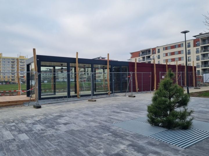 20240308_louka_za_skolou_po_otevreni_zacatek_brezna (67)