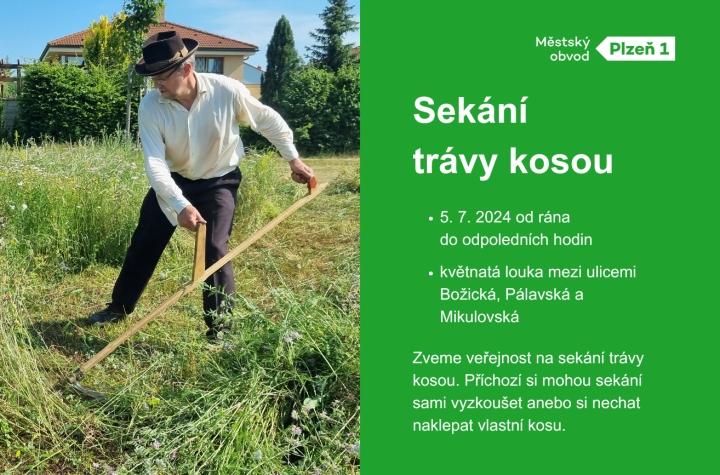 20240627_sekani_kosou (1314 x 867 px)