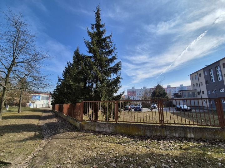 20250310_zluticka_revitalizace_kaceni (17) 20250310_zluticka_revitalizace_kaceni (17)