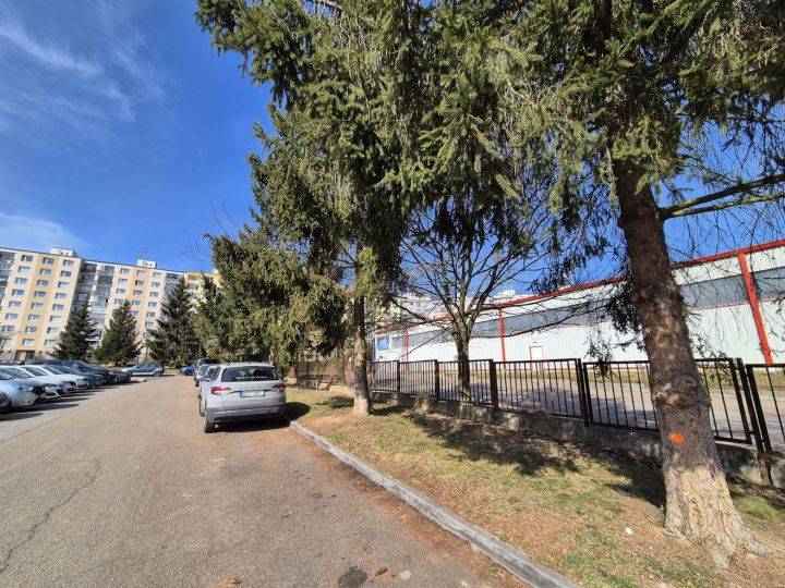 20250310_zluticka_revitalizace_kaceni (27) 20250310_zluticka_revitalizace_kaceni (27)