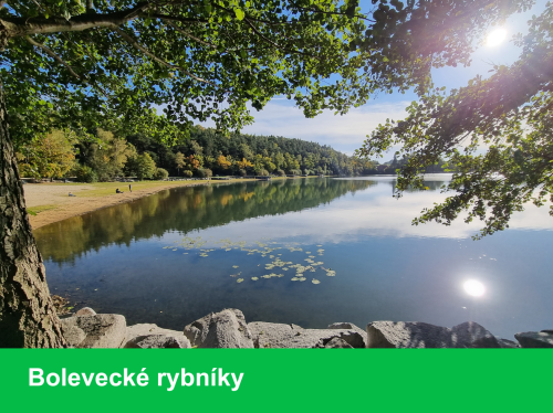 20250311_bolevecke_rybniky