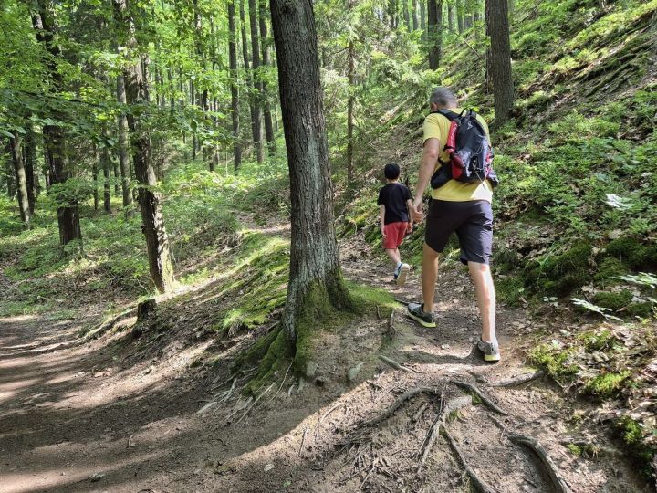 20250714_turistika_skala_pupek (11) 20250714_turistika_skala_pupek (11)