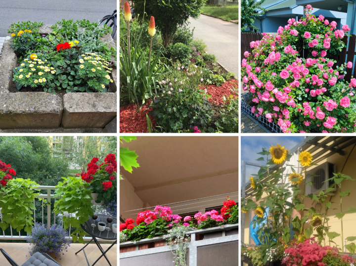 20250825_r1 20250825_r1