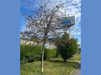 20251023_gerska_pod_albertem_sirka