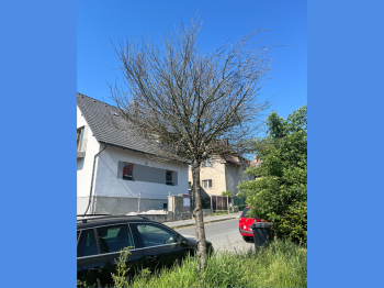 20251023_kaceni_bohuslava_martinu_13_sirka