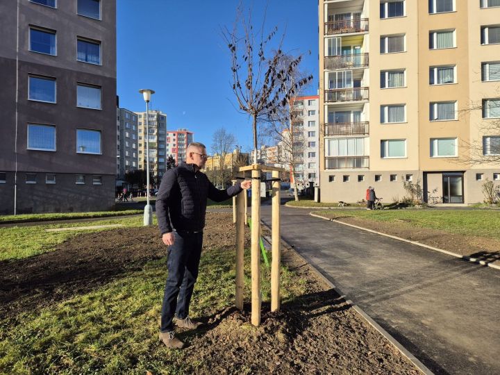 20251210_zluticka_revitalizace_vnitrobloku (29) 20251210_zluticka_revitalizace_vnitrobloku (29)