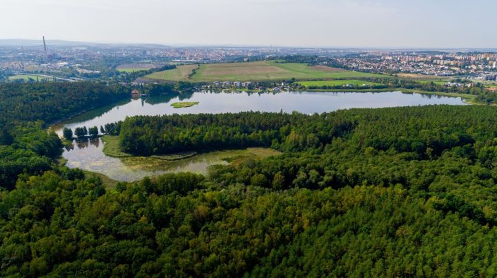 3_20231130_maly_a_velky_bolevecky_rybnik