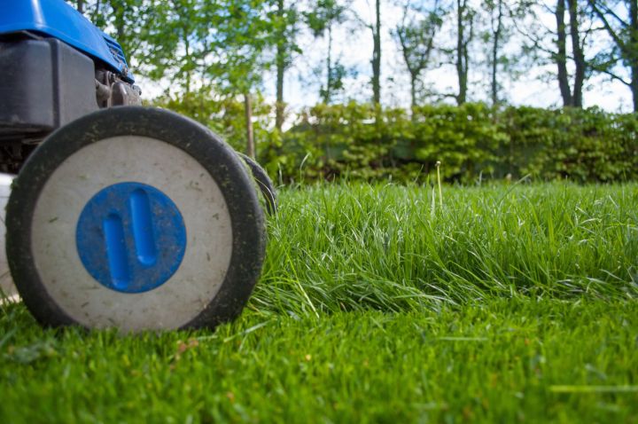 clickerhappy-lawnmower-2786525 clickerhappy-lawnmower-2786525