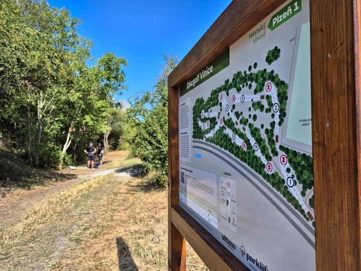 discgolf_vinice (3)