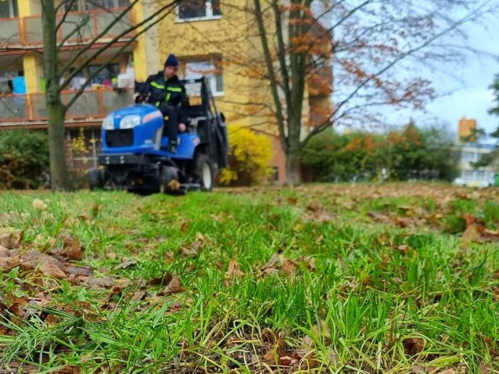 FB_IMG_1731342623636