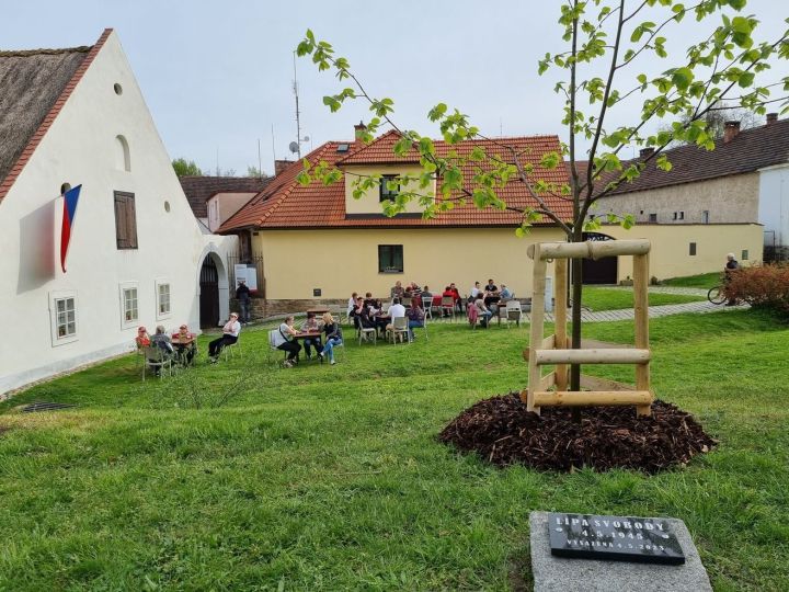 lipa_svobody_mv_2023 (3) lipa_svobody_mv_2023 (3)