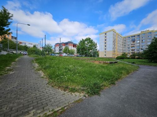 sedlecka_rev. sedlecka_rev.