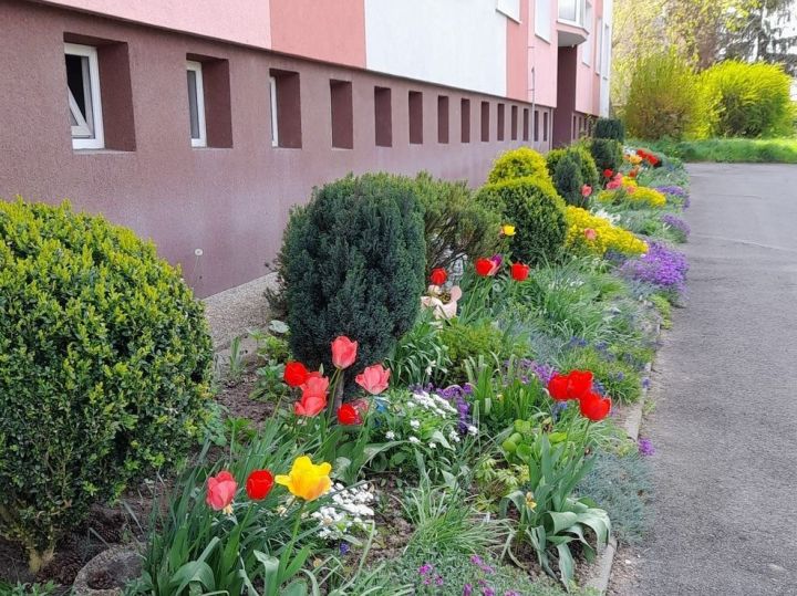 zahradka_kaznejovska_sirka zahradka_kaznejovska_sirka