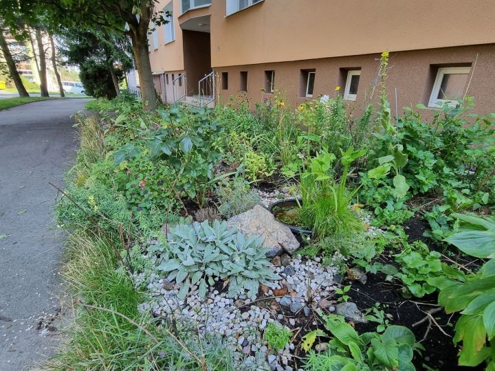 zahradka_kralovicka zahradka_kralovicka